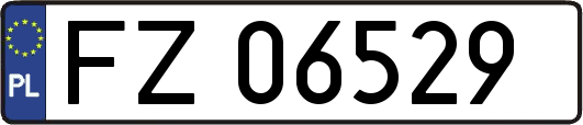 FZ06529