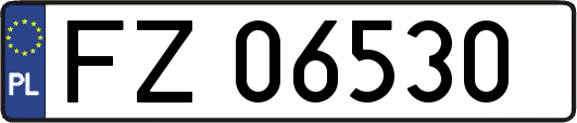 FZ06530