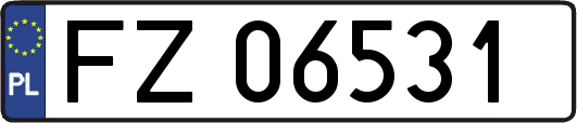 FZ06531