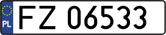 FZ06533