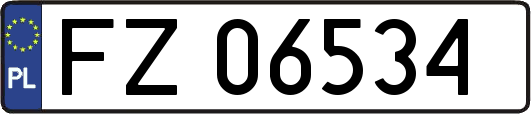 FZ06534