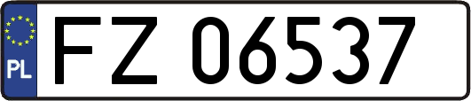 FZ06537