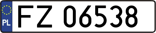 FZ06538