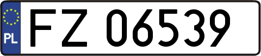 FZ06539
