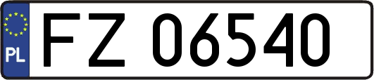 FZ06540