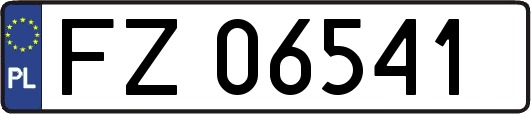 FZ06541