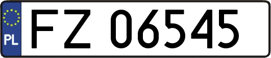 FZ06545