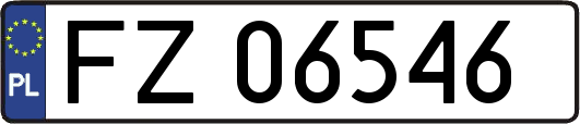 FZ06546