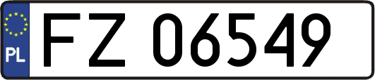 FZ06549