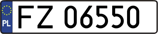 FZ06550