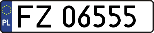 FZ06555