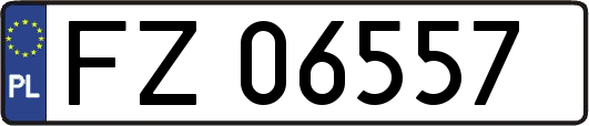 FZ06557