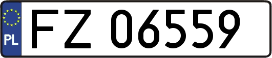 FZ06559