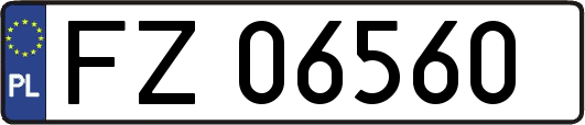 FZ06560