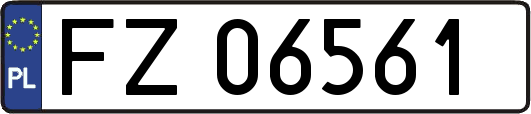 FZ06561