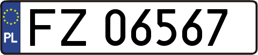 FZ06567