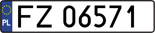 FZ06571