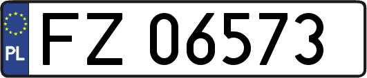 FZ06573
