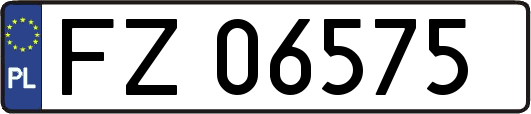 FZ06575