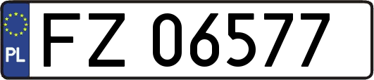 FZ06577