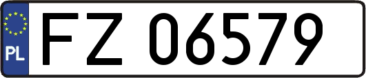 FZ06579