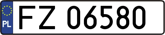 FZ06580