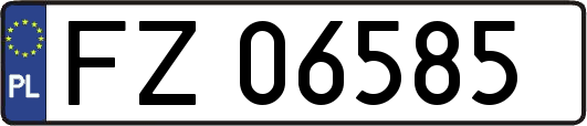 FZ06585