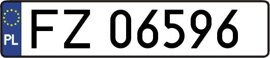 FZ06596