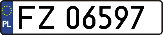 FZ06597