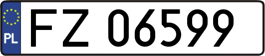 FZ06599