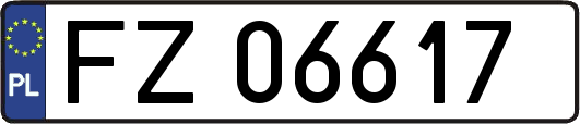 FZ06617
