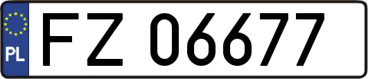 FZ06677