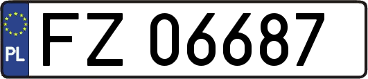 FZ06687