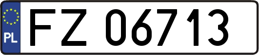 FZ06713