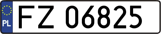 FZ06825