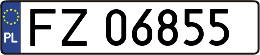 FZ06855