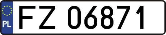 FZ06871
