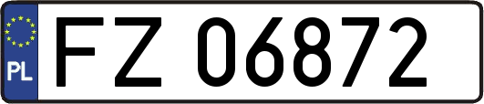 FZ06872