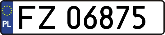 FZ06875