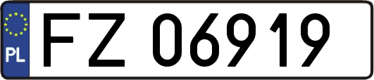 FZ06919