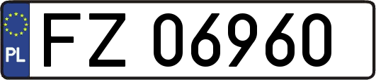FZ06960