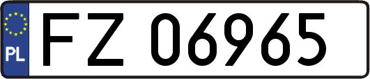 FZ06965
