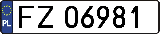 FZ06981