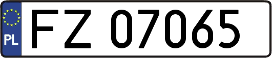 FZ07065