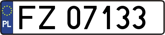 FZ07133