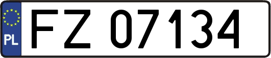 FZ07134