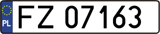 FZ07163
