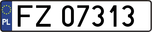 FZ07313