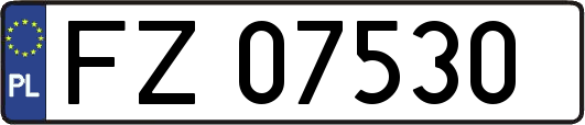 FZ07530
