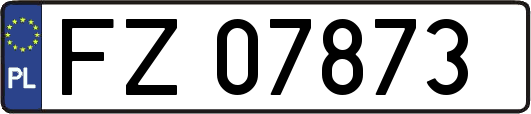 FZ07873